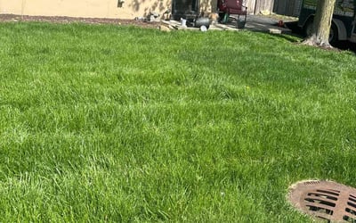 Photo of Pat B.'s yard after getting lawn care in Villa Park, IL