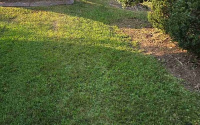 Photo of Jonathan S.'s yard after getting lawn care in Norristown, PA