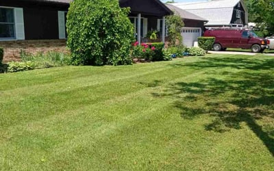 Photo of Steve M.'s yard after getting lawn care in Port Huron, MI