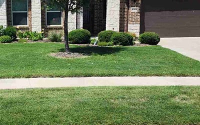 Photo of Jacobi M.'s yard after getting lawn care in Kenner, LA