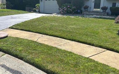 Photo of Diane K.'s yard after getting lawn care in Madison Heights, MI