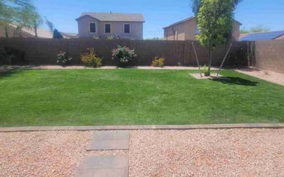 Photo of Courtney O.'s yard after getting lawn care in Goodyear, AZ