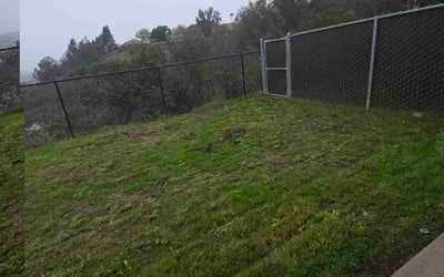 Photo of April M.'s yard after getting lawn care in Rialto, CA