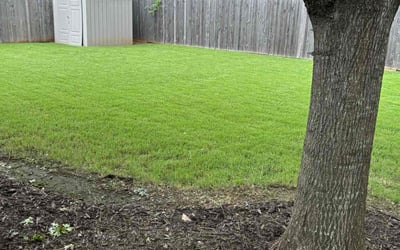 Photo of Michael C.'s yard after getting lawn care in Cleburne, TX