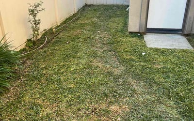 Photo of Simeon S.'s yard after getting lawn care in Chino, CA