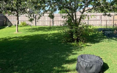 Photo of Connie D.'s yard after getting lawn care in Bowie, MD