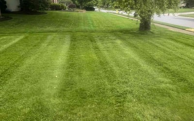 Photo of Andrew W.'s yard after getting lawn care in Richwood, OH