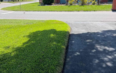 Photo of Kashif S.'s yard after getting lawn care in St. Petersburg, FL