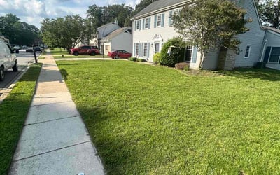 Photo of Maureen M.'s yard after getting lawn care in Irmo, SC