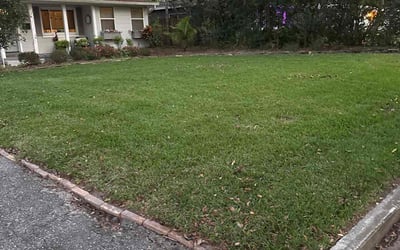 Photo of Ferdy D.'s yard after getting lawn care in Orlando, FL
