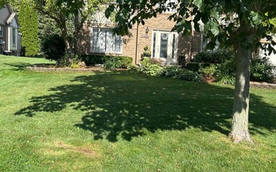 Photo of Stephanie S.'s yard after getting lawn care in Canyon Lake, TX