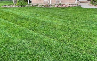Photo of Jackie J.'s yard after getting lawn care in Riverview, MI