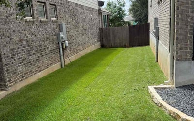 Photo of Sammie M.'s yard after getting lawn care in Memphis, TN