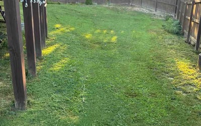 Photo of Jerome S.'s yard after getting lawn care in Opelika, AL