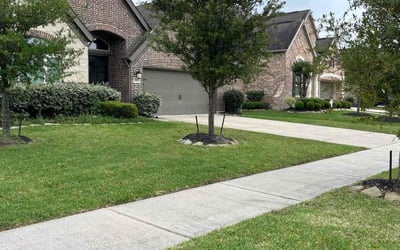 Photo of Paulina S.'s yard after getting lawn care in West Columbia, TX