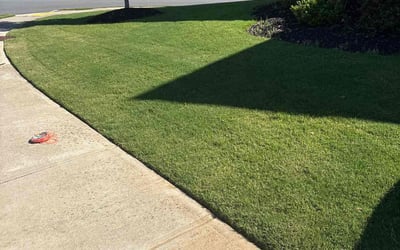 Photo of Christine D.'s yard after getting lawn care in Barberton, OH