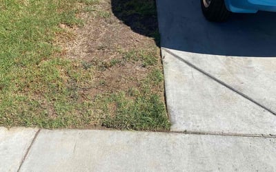 Photo of Anne G.'s yard after getting lawn care in Homestead, PA