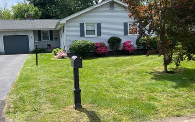 Photo of Justin D.'s yard after getting lawn care in West Hartford, CT