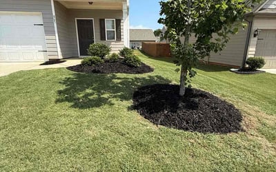 Photo of Demetrius M.'s yard after getting lawn care in Fredericksburg, VA