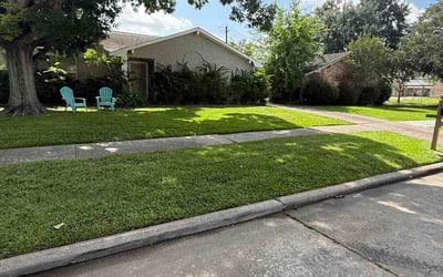 Photo of Caity M.'s yard after getting lawn care in Battle Ground, WA