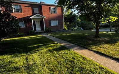 Photo of Rick R.'s yard after getting lawn care in Harrison, OH