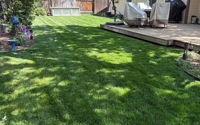 Photo of Linda R.'s yard after getting lawn care in Boise City, ID