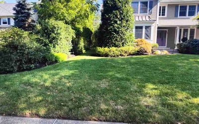 Photo of Ray K.'s yard after getting lawn care in Parlin, NJ