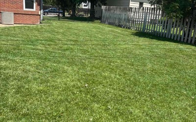 Photo of Greg G.'s yard after getting lawn care in Reston, VA