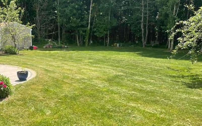 Photo of Lisa D.'s yard after getting lawn care in Raynham, MA