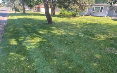 Photo of Damian P.'s yard after getting lawn care in Ramsey, MN