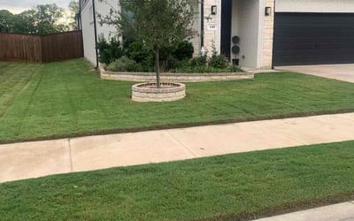 Photo of Evelyn R.'s yard after getting lawn care in Griffin, GA