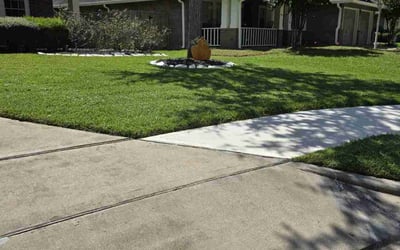 Photo of Dee G.'s yard after getting lawn care in Laredo, TX