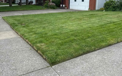 Photo of Deborah K.'s yard after getting lawn care in Castle Rock, CO