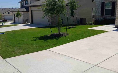 Photo of Ann N.'s yard after getting lawn care in San Antonio, TX