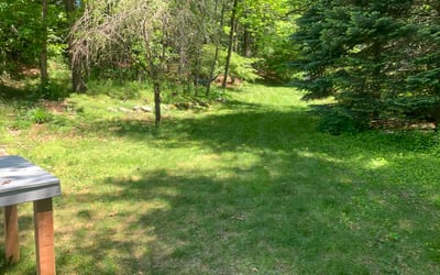 Photo of Dana B.'s yard after getting lawn care in Skokie, IL