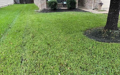 Photo of Ashley M.'s yard after getting lawn care in Abilene, TX