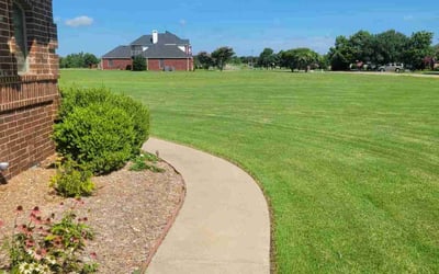 Photo of Yvonne B.'s yard after getting lawn care in Catonsville, MD
