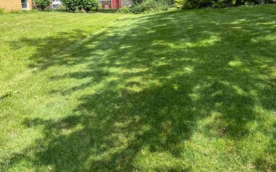 Photo of Alicia S.'s yard after getting lawn care in Glenside, PA