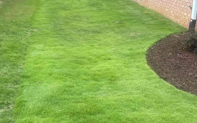 Photo of Ember M.'s yard after getting lawn care in Warrior, AL