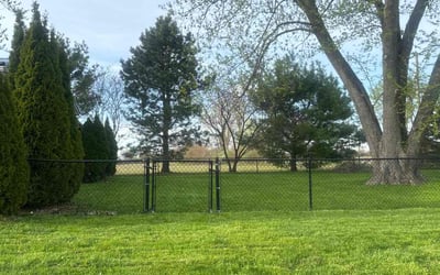 Photo of Nancy T.'s yard after getting lawn care in Selbyville, DE