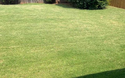 Photo of Walter A.'s yard after getting lawn care in Blanchard, OK