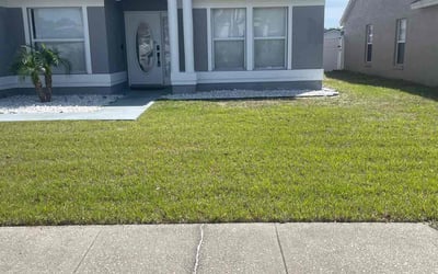 Photo of Beatriz C.'s yard after getting lawn care in Saint Cloud, FL