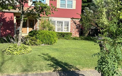 Photo of Lisa G.'s yard after getting lawn care in Voorhees, NJ