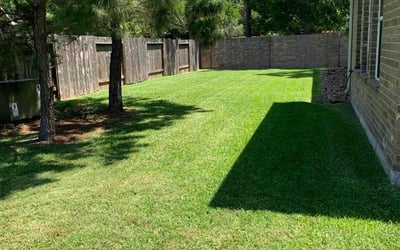 Photo of Caitlin H.'s yard after getting lawn care in Hendersonville, NC
