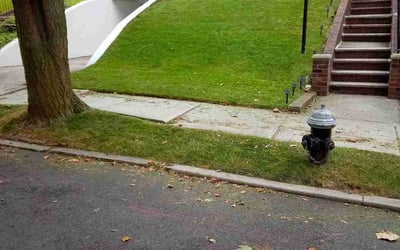Photo of Stephanie B.'s yard after getting lawn care in Middle Village, NY