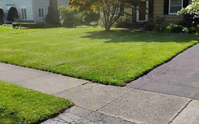 Photo of Kristen B.'s yard after getting lawn care in Brighton, NY