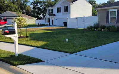 Photo of Denise S.'s yard after getting lawn care in Dover, DE