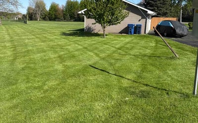 Photo of Ryan B.'s yard after getting lawn care in Tacoma, WA