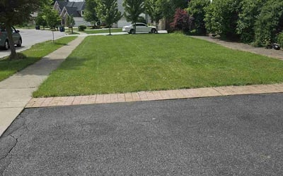 Photo of Kremena T.'s yard after getting lawn care in Greece, NY