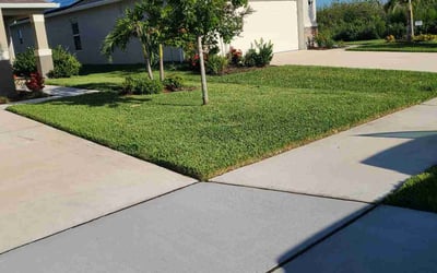 Photo of Tammila S.'s yard after getting lawn care in Palmetto, FL